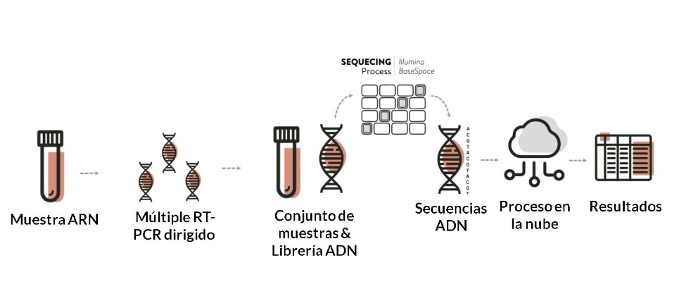 Workflow de detección de ARN Vilar del Covid-19, Biome Makers