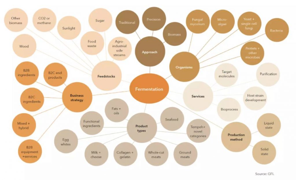 Fermentación: un aliado eficiente y versátil para innovar en producto