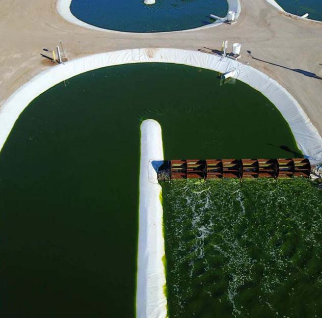 Planta de producción de Qualitas Health/iWi en la que desarrolla nuevos sistemas de cultivo con algas. 