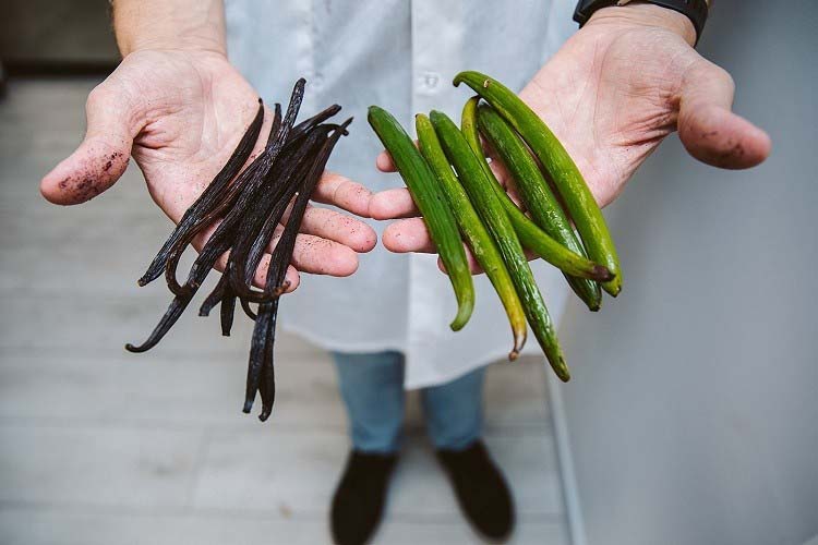 Planta de producción de Vanilla Vida en la que desarrolla nuevos sistemas de cultivo con vainilla. 